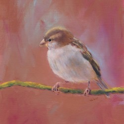 Sparrow meeting part three