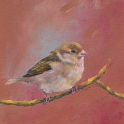 Sparrow meeting part one