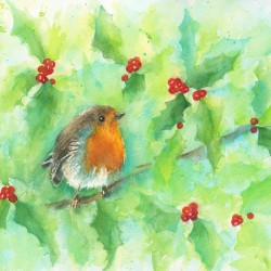 Robin in a holly bush