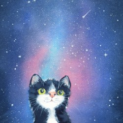 Cat gazing at the stars watercolor painting