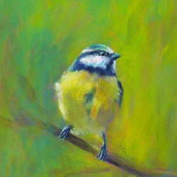 Portrait of Eurasian blue tit acrylic painting 