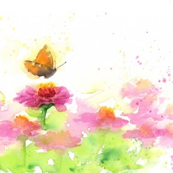 Butterfly and pink Zinnias watercolor painting