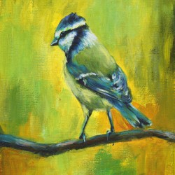 Blue tit bird portrait acrylic painting 