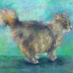 Fluffy longhair cat soft pastels painting
