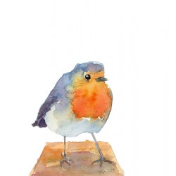 Robin on a perch watercolor painting