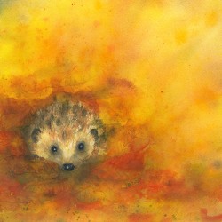 Hedgehog in autumn leaves 