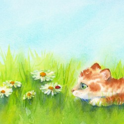 Curious kitten and ladybird on a daisy