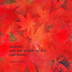 Maple on fire haiku