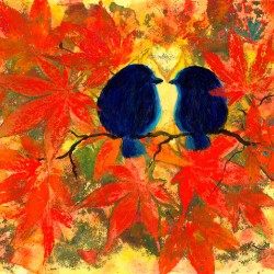 Love is in the Maple tree