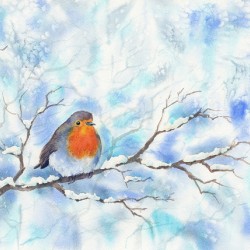 Robin in a winter landscape
