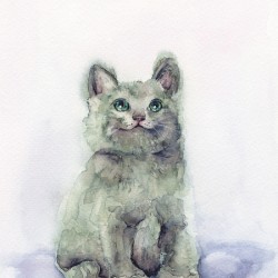 Funny little cat portrait 
