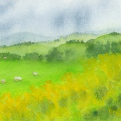 Tranquil Green Pasture Scene