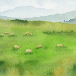 Sheep Grazing in Green Field
