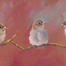 Three sparrows on a branch
