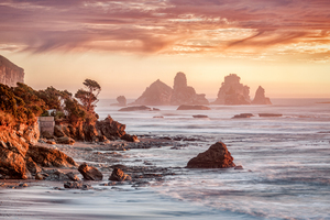 Motukiekie West Coast New Zealand