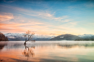 Winter Morning Lake Wanaka