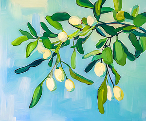 Mistletoe