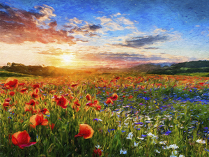 English Meadow at Sunset