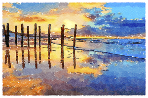 Sunrise St Clair Beach Dunedin New Zealand