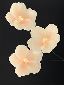 Pale Pink Flowers on Black