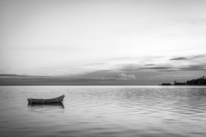 Morning Nelson Haven New Zealand