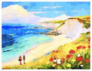 Beautiful Bay with White Cliffs and Wildflowers