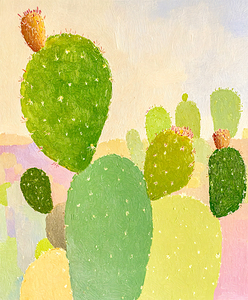 Cactus Garden   Prickly Pear