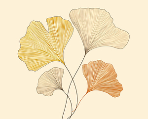 Gingko Leaves