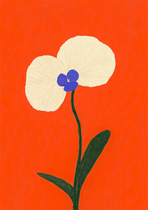 White Orchid Red Background