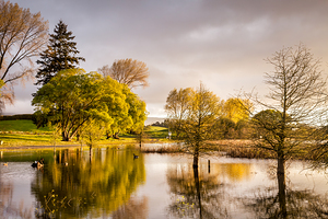 Guy Roe Reserve Lake Rerewhakaaitu Rotorua New Zealand