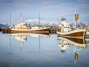 Husavik Harbour Iceland I