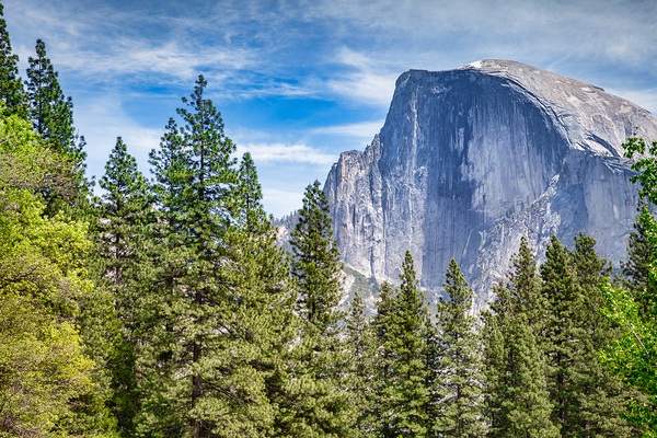 Half Dome Yosemite National Park USA by Travelling Light