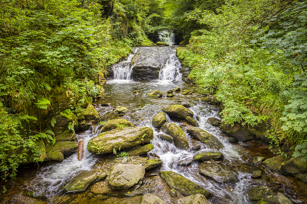 Hoar Oak Water Watersmeet Devon by Travelling Light