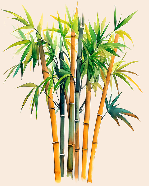 Bamboo by Travelling Light