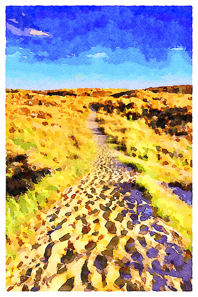 South West Coast Path Cornwall UK by Travelling Light