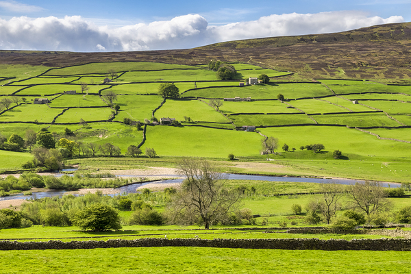 Swaledale North Yorkshire UK by Travelling Light