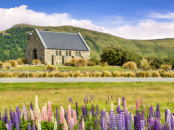 Lupins and Church of the Good Shepherd Lake Tekapo New Zealand by Travelling Light