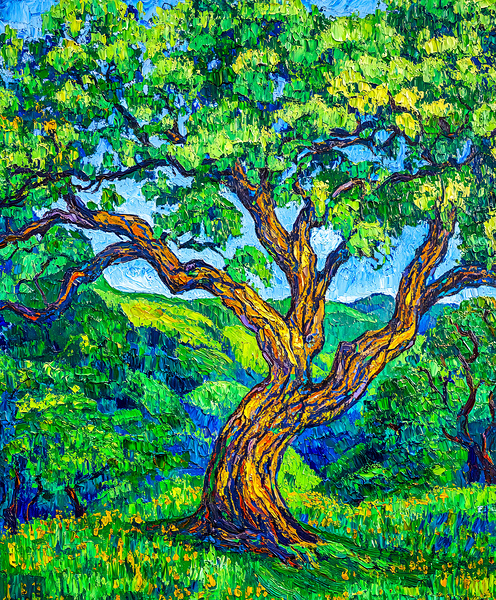 Old Man of the Forest by Travelling Light