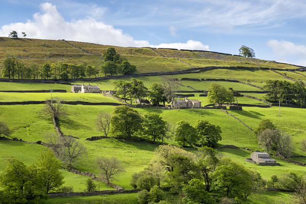 Swaledale in Spring North Yorkshire UK by Travelling Light