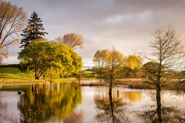 Guy Roe Reserve Lake Rerewhakaaitu Rotorua New Zealand by Travelling Light