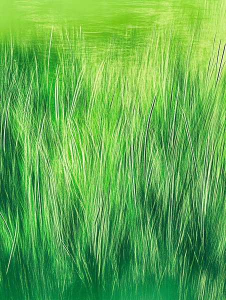 Green is Good by Travelling Light