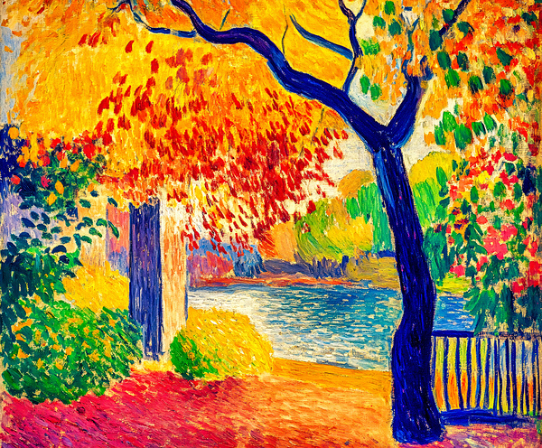 A Tree in Autumn by Travelling Light