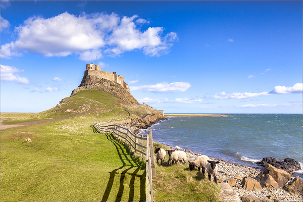 Lindisfarne Castle Holy Island Northumberland UK by Travelling Light
