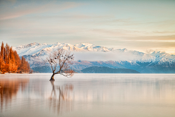 Lake Wanaka Otago New Zealand by Travelling Light
