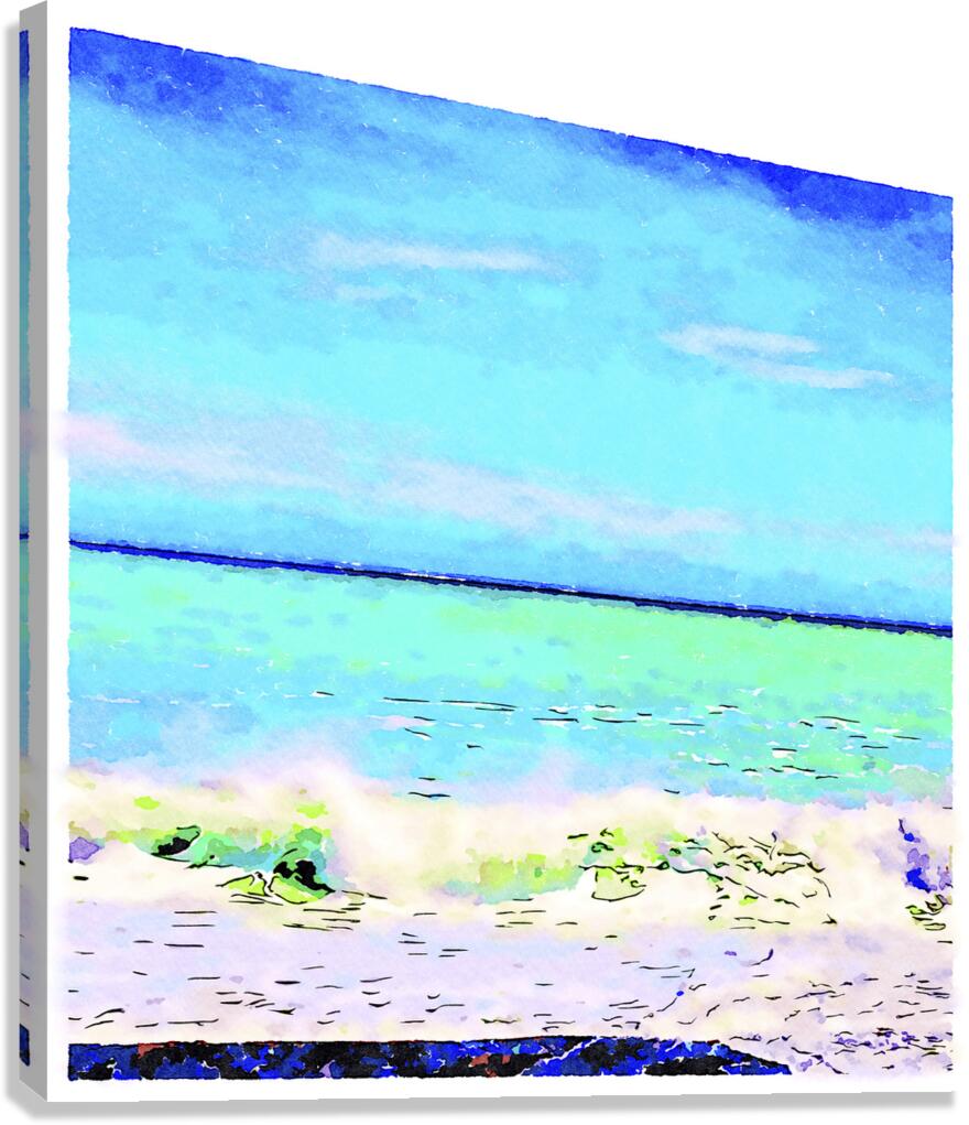 South Pacific  Canvas Print