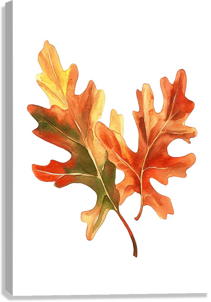 Autumn Oak Leaves on White Canvas Print