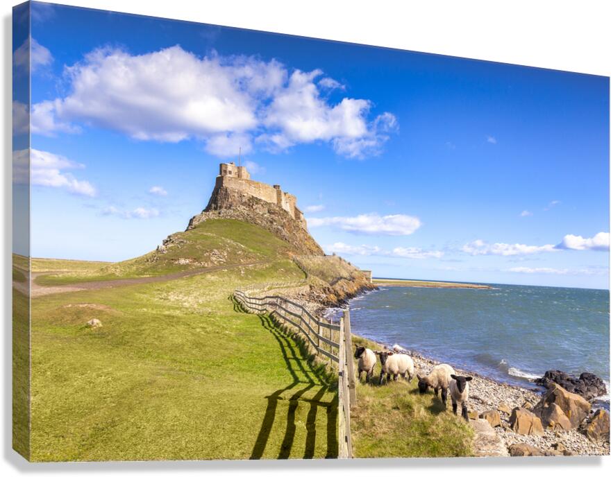 Lindisfarne Castle Holy Island Northumberland UK Canvas Print