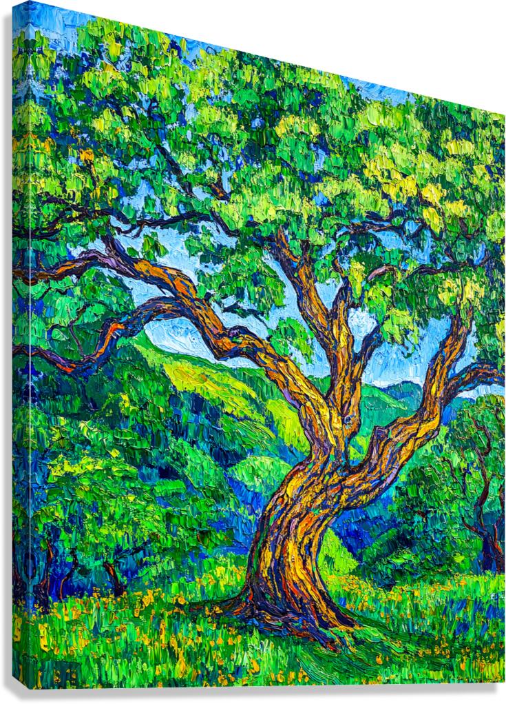 Old Man of the Forest Canvas Print