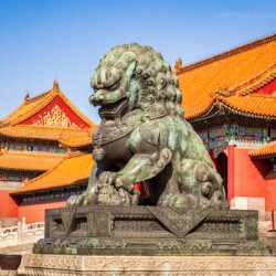 Bronze Lioness Forbidden City Beijing