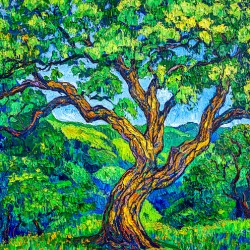 Old Man of the Forest